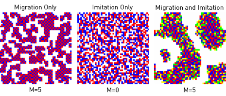 (E) P11 = P22 = 0, P12 = P21 = 1.